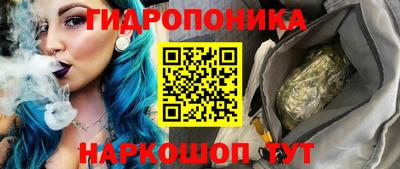 шишки Коммунар